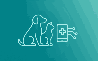 When Telehealth Is NOT Safe for Pets | Vet-Written Guide 2025