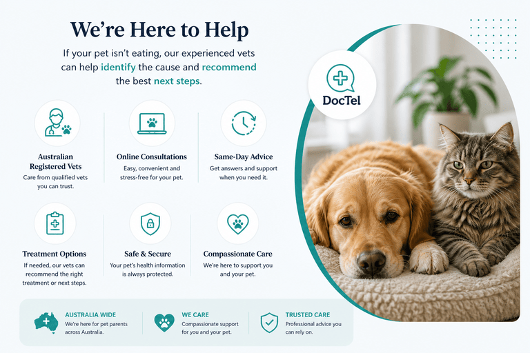 Dog and cat not eating, online vet consultation support for loss of appetite in pets Australia